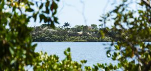 doonella noosa qm properties previous projects lake doonella